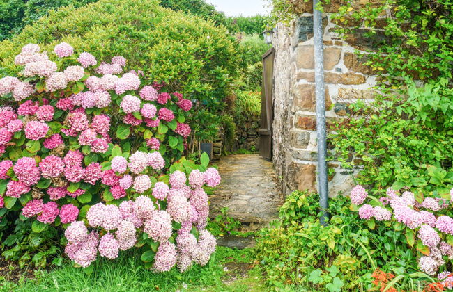 Casa de 3 quartos em Crozon com jardim e terraço - Foto 20