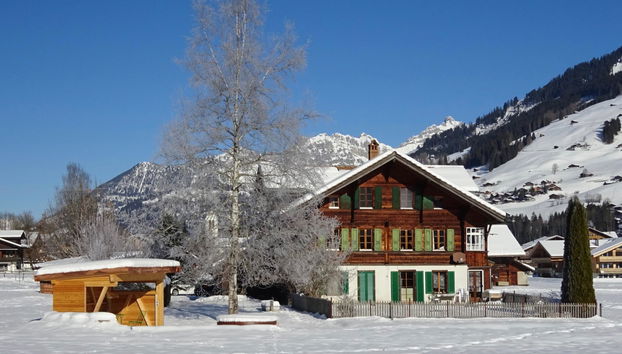 Appartamento con 2 camere da letto a Lenk con giardino - Foto 2