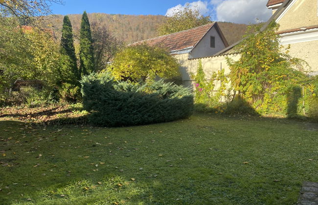 Apartamento de 2 quartos em Aggsbach com jardim - Foto 27