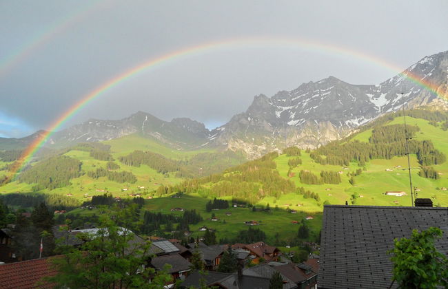 Apartamento de 2 quartos em Adelboden - Foto 8