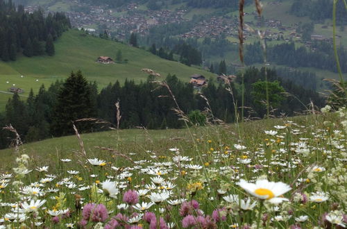 Foto 17 - Appartamento con 2 camere da letto a Adelboden