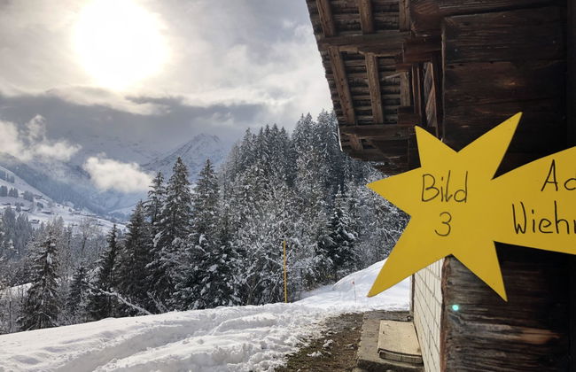 Apartamento de 2 quartos em Adelboden - Foto 29