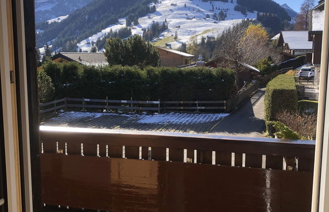 Apartamento de 2 quartos em Adelboden - Foto 54