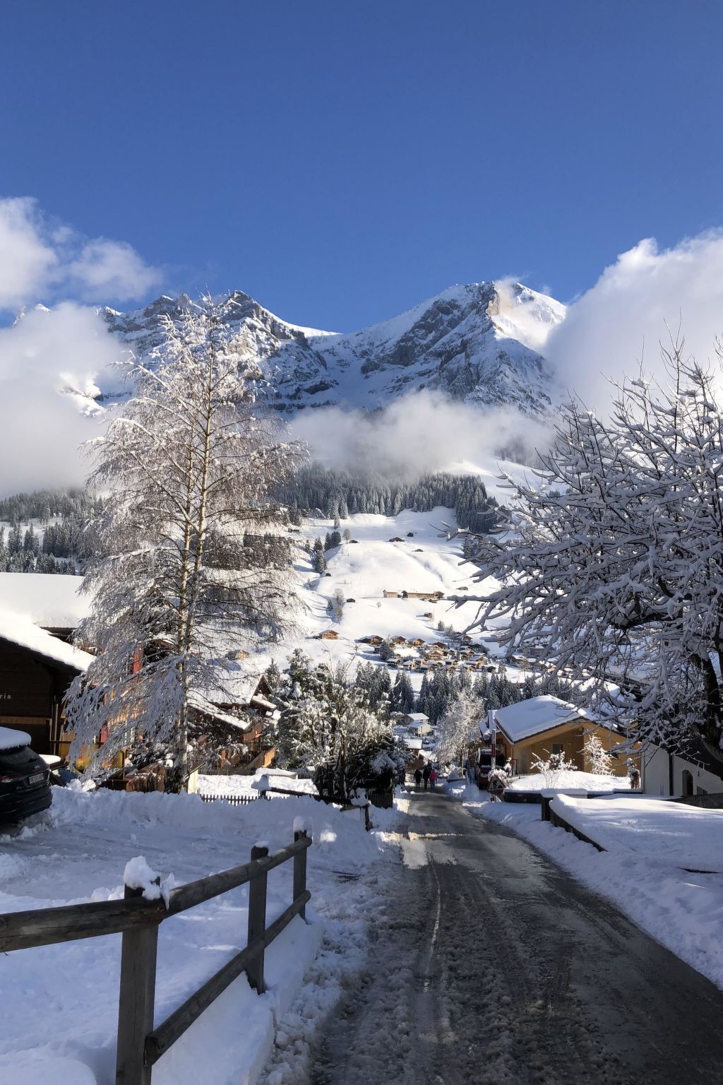 Foto 35 - Appartamento con 2 camere da letto a Adelboden