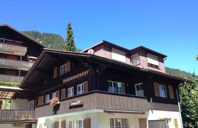 Apartamento de 2 quartos em Adelboden - Foto 30