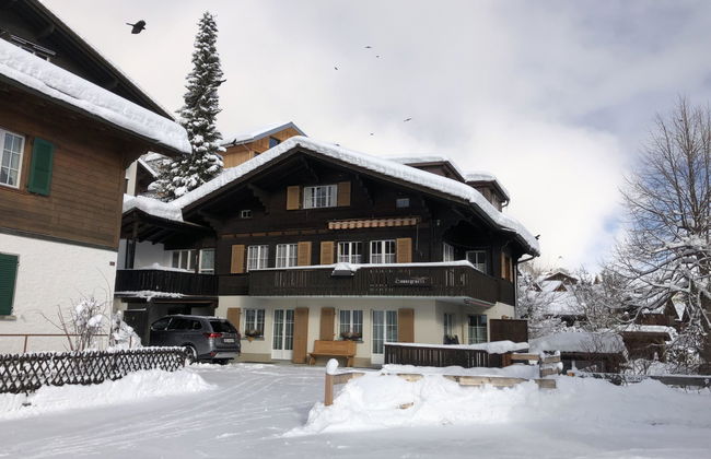 Apartamento de 2 quartos em Adelboden - Foto 21