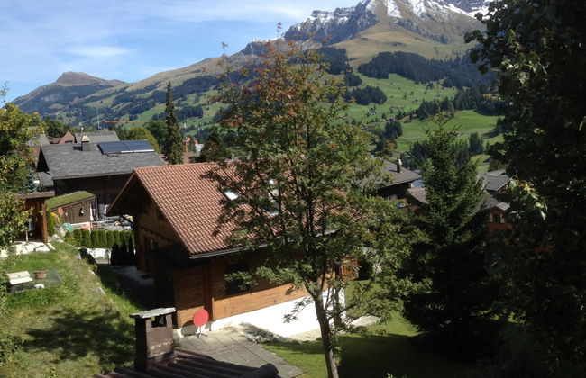 Apartamento de 2 quartos em Adelboden - Foto 7