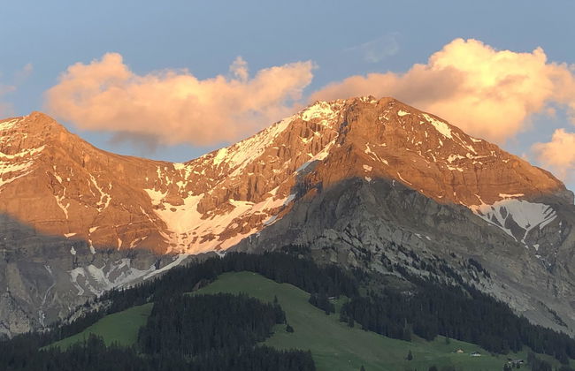 Apartamento de 2 quartos em Adelboden - Foto 12