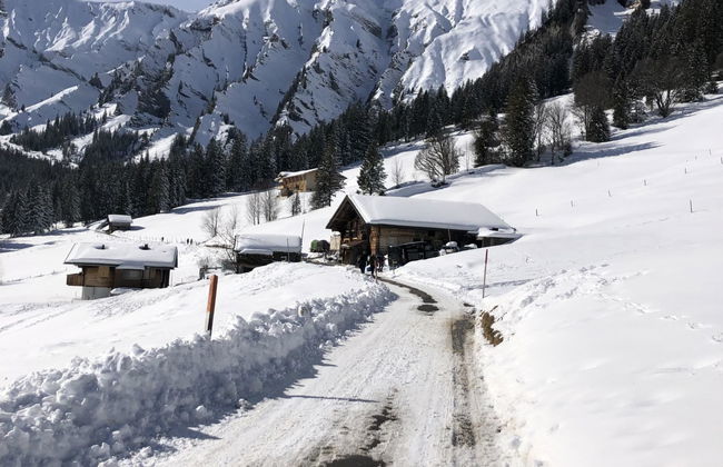 Apartamento de 2 quartos em Adelboden - Foto 28