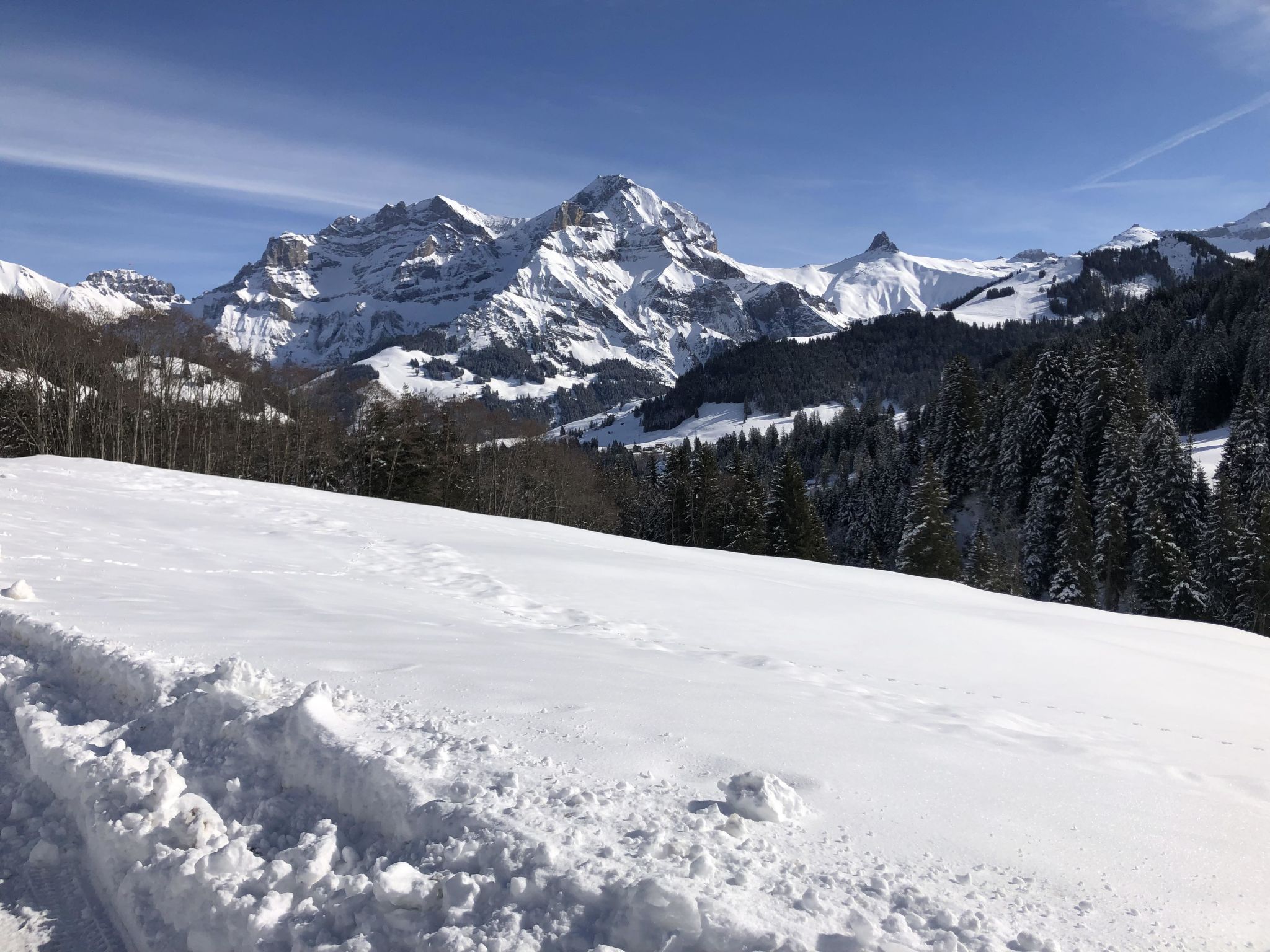 Foto 33 - Apartamento de 2 quartos em Adelboden