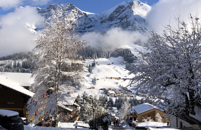 Apartamento de 2 quartos em Adelboden - Foto 27