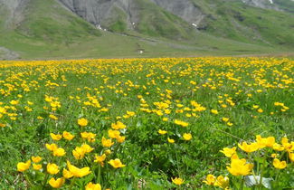Foto 15 - Apartamento de 2 habitaciones en Adelboden