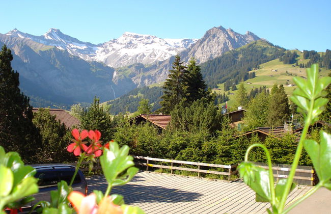 Apartamento de 2 quartos em Adelboden - Foto 3