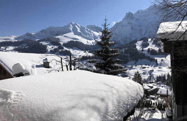 Apartamento de 2 quartos em Adelboden - Foto 26