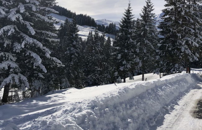 Apartamento de 2 quartos em Adelboden - Foto 25