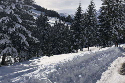 Foto 25 - Appartamento con 2 camere da letto a Adelboden