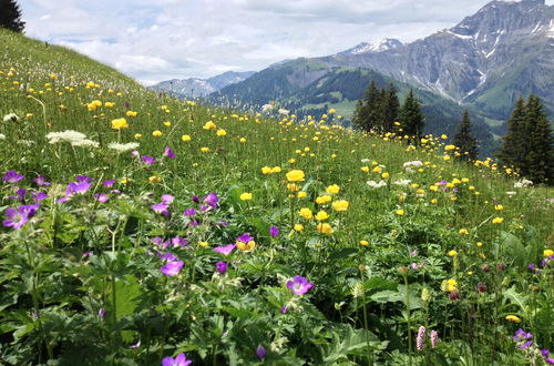 Foto 18 - Appartamento con 2 camere da letto a Adelboden