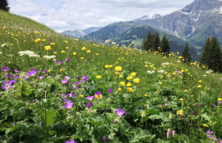 Foto 18 - Apartamento de 2 habitaciones en Adelboden