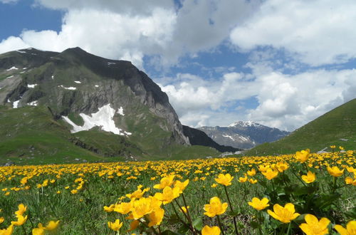 Foto 16 - Apartamento de 2 quartos em Adelboden