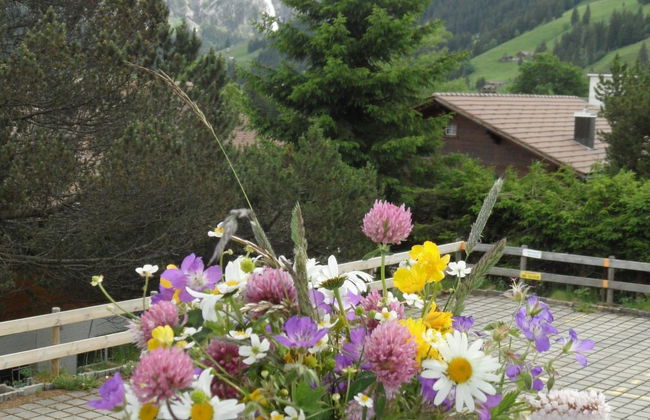 Apartamento de 2 quartos em Adelboden - Foto 10