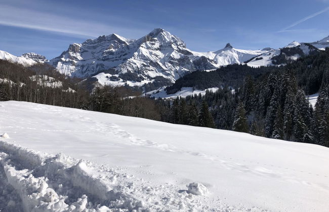 Apartamento de 2 quartos em Adelboden - Foto 24