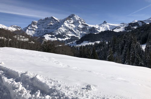 Foto 24 - Appartamento con 2 camere da letto a Adelboden