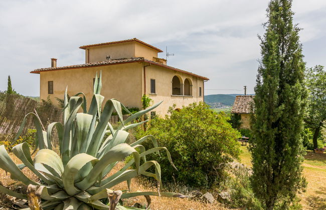 Casa de 5 quartos em Laterina Pergine Valdarno com piscina privada e jardim - Foto 50