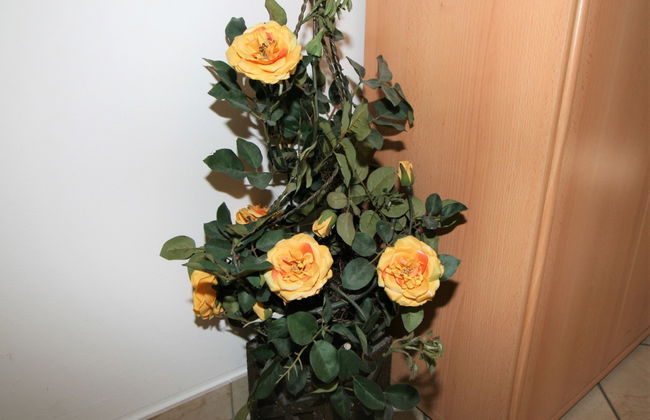 Apartamento de 2 quartos em Stumm com jardim - Foto 11