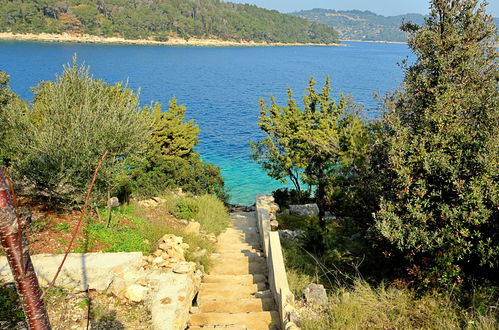 Foto 4 - Casa de 3 quartos em Vela Luka com jardim e vistas do mar