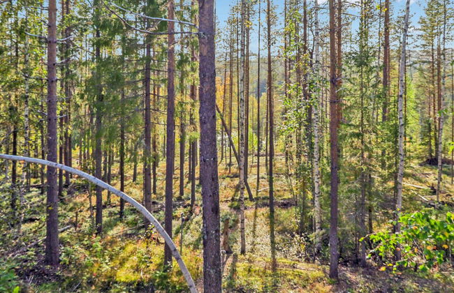 Haus mit 7 Schlafzimmern in Jockfall - Foto 37