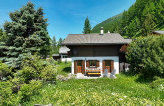 Photo 1 - 3 bedroom House in Anniviers with garden