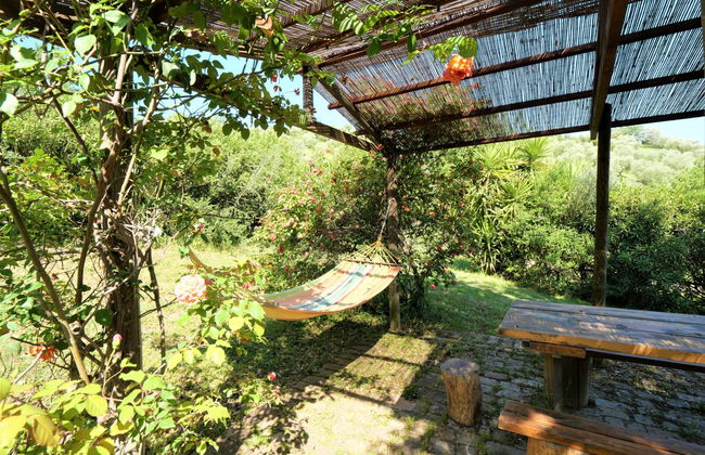 Casa de 3 quartos em Campagnatico com piscina e jardim - Foto 21