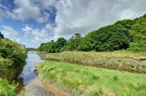 Photo 10 - 1 bedroom Apartment in Wadebridge with garden and sea view