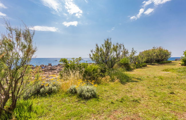 Casa de 4 quartos em Rosignano Marittimo com jardim e terraço - Foto 35