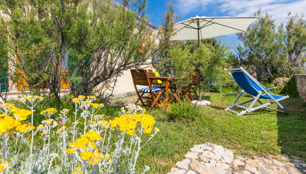 Haus mit 4 Schlafzimmern in Rosignano Marittimo mit garten und terrasse - Foto 4