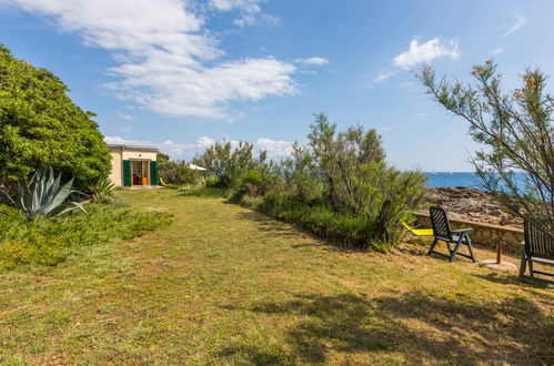 Photo 29 - Maison de 3 chambres à Rosignano Marittimo avec jardin et vues à la mer