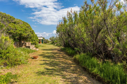 Photo 33 - 3 bedroom House in Rosignano Marittimo with garden and sea view