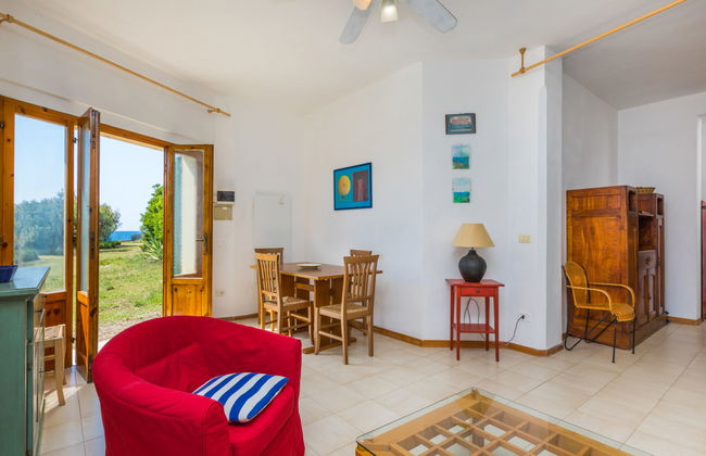 Casa de 4 quartos em Rosignano Marittimo com jardim e terraço - Foto 9