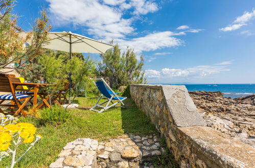 Photo 37 - Maison de 3 chambres à Rosignano Marittimo avec jardin et vues à la mer