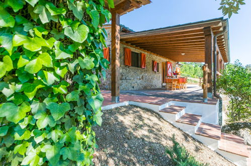 Foto 50 - Casa con 2 camere da letto a Montecatini Val di Cecina con piscina privata e giardino