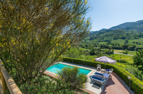 Foto 41 - Haus mit 2 Schlafzimmern in Montecatini Val di Cecina mit privater pool und terrasse