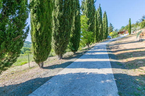 Foto 40 - Haus mit 2 Schlafzimmern in Montecatini Val di Cecina mit privater pool und terrasse