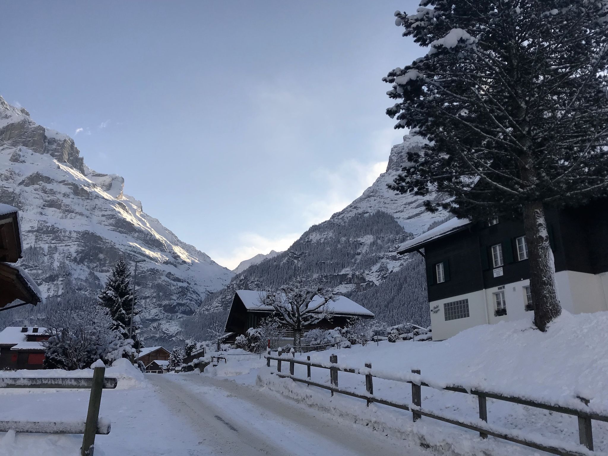 Foto 22 - Apartamento de 2 quartos em Grindelwald com vista para a montanha