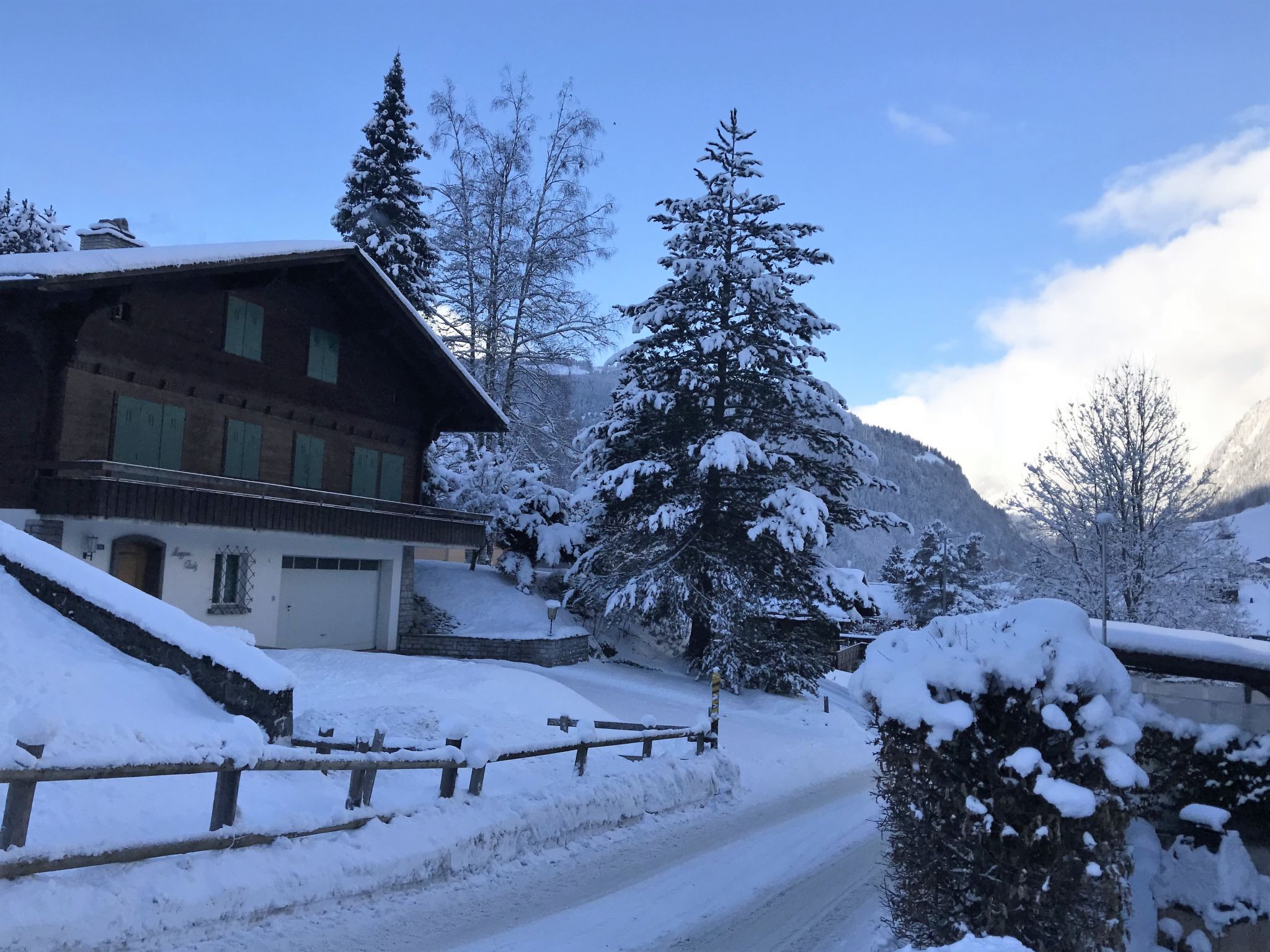 Foto 21 - Apartment mit 2 Schlafzimmern in Grindelwald mit blick auf die berge