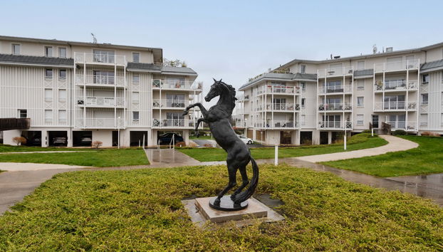 Apartamento de 2 quartos em Cabourg - Foto 5