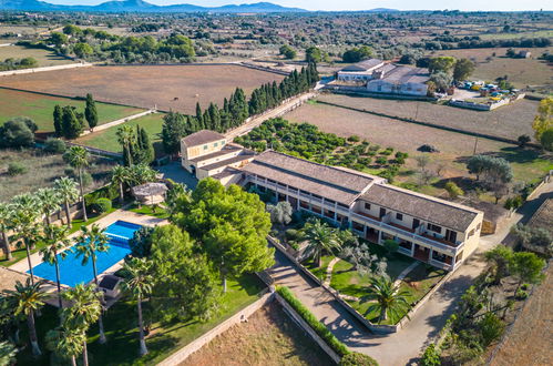 Foto 30 - Appartamento con 1 camera da letto a Muro con piscina e giardino