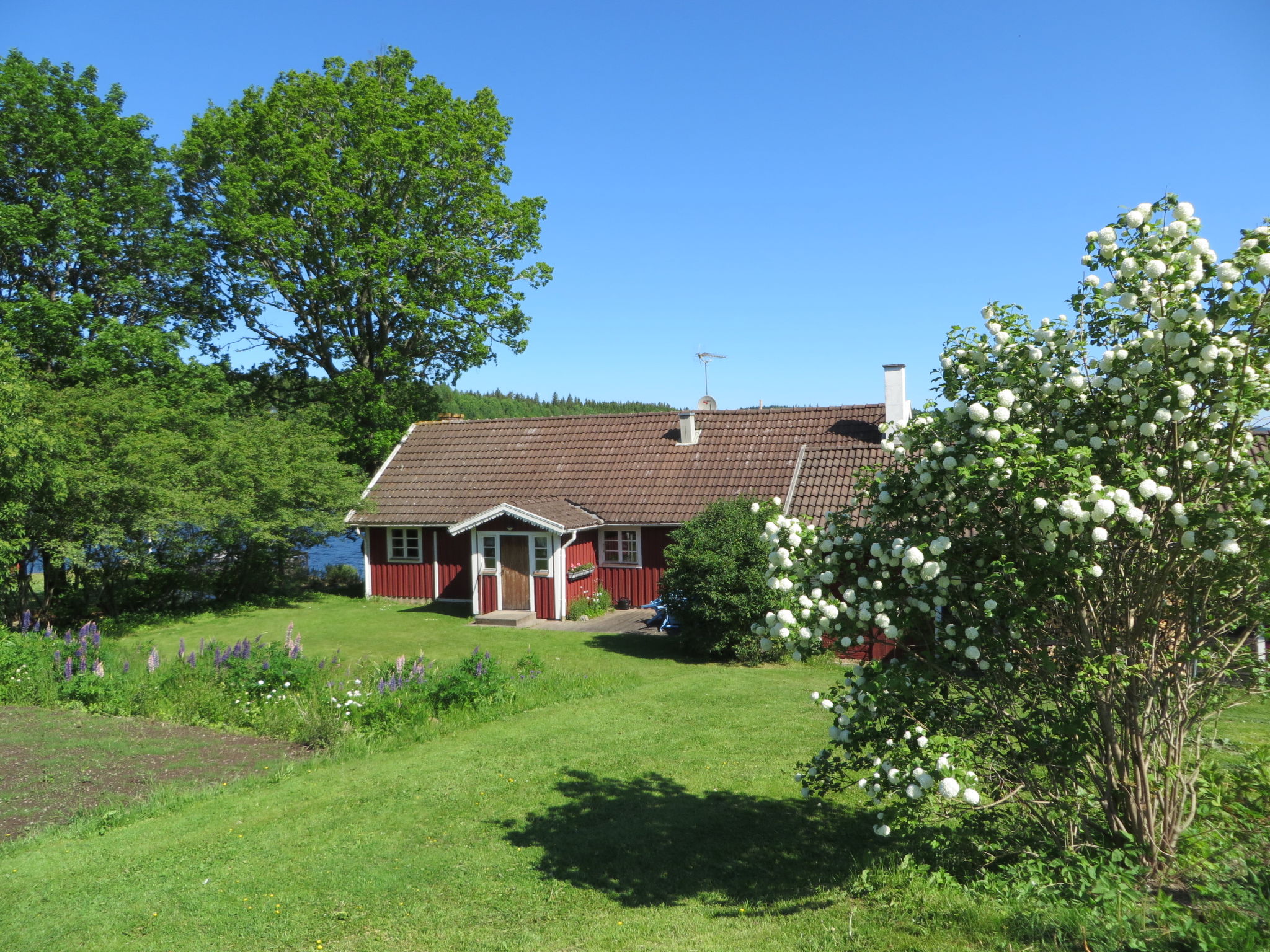 Foto 14 - Casa con 2 camere da letto a Aneby con giardino e terrazza