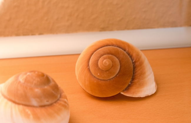 Apartamento de 3 quartos em Norden com jardim e terraço - Foto 22