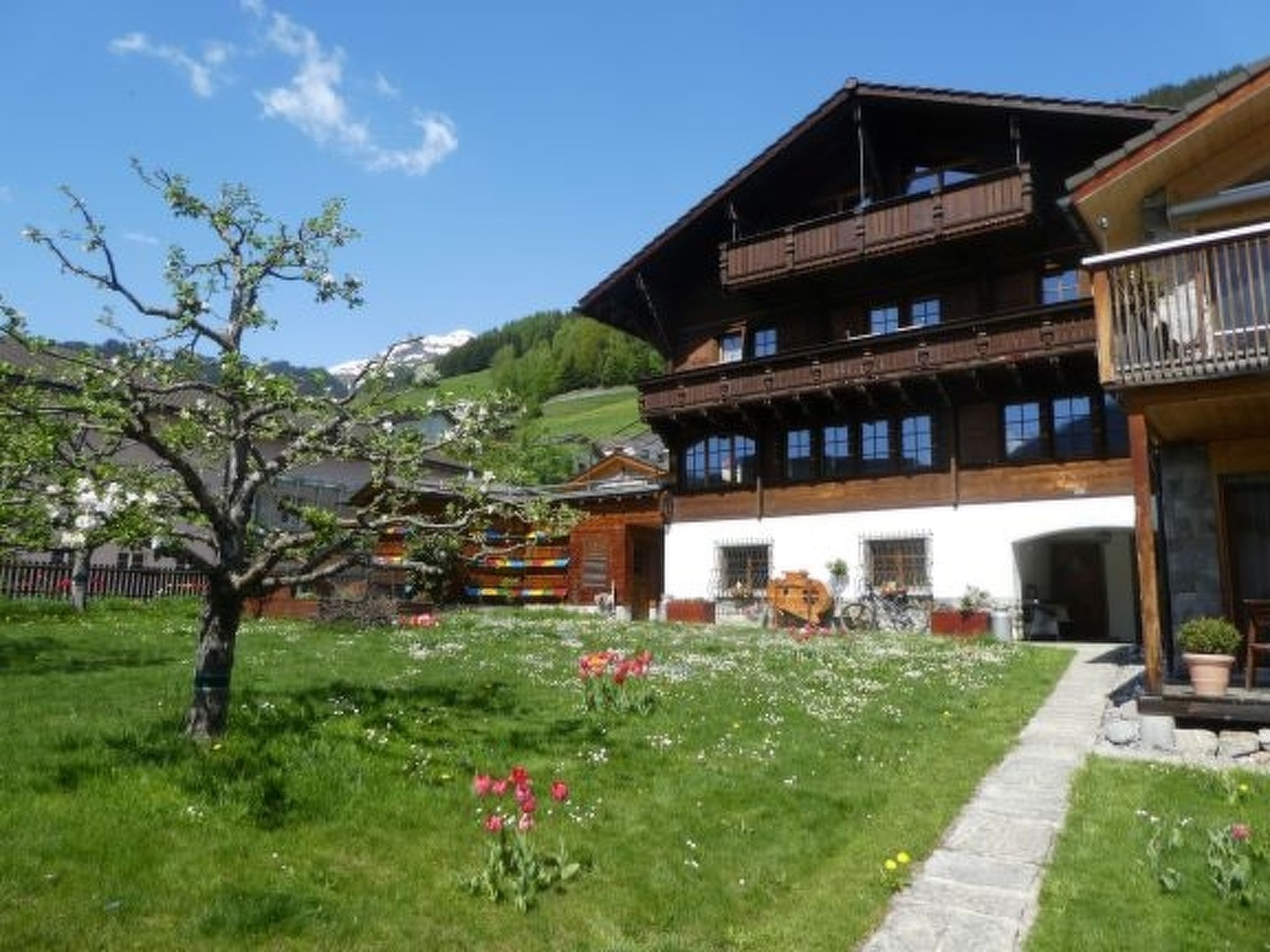 Photo 2 - 2 bedroom Apartment in Disentis/Mustér with mountain view