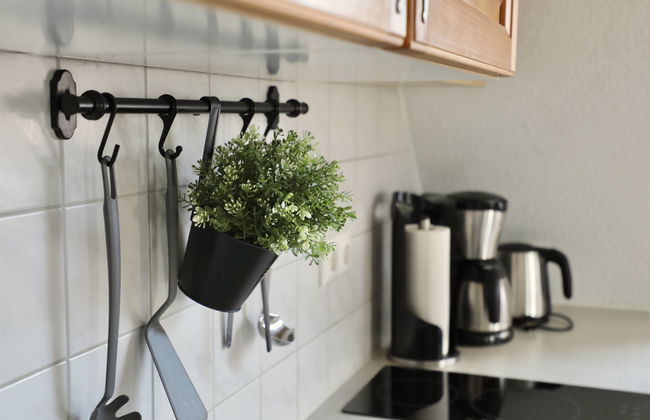 Apartamento de 2 quartos em Dargun com piscina e jardim - Foto 4